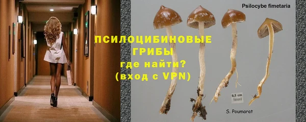 кокс Алзамай