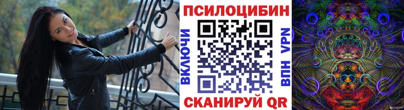 Галлюциногенные грибы Psilocybine cubensis Елец