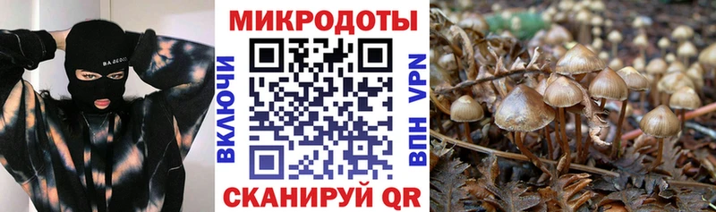 наркотики  Елец  Псилоцибиновые грибы ЛСД 